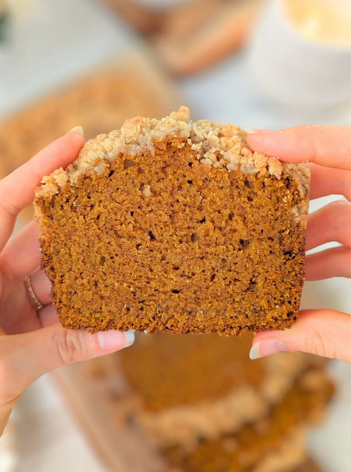 Pumpkin Bread Recipe – Birchberry